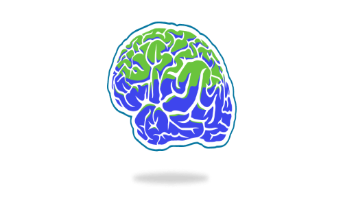 Epigenetics & the Mind Brain Gene Connection: A Systems Approach to Mental Health
