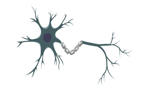 Live – Neural Desensitization to Accelerate Trauma Recovery: NDIT Level 1 Training (Feb 2024)